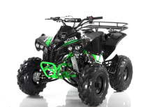 Квадроцикл MOTAX ATV Raptor-LUX 125 cc Квадроцикл MOTAX ATV Raptor-LUX 125 cc