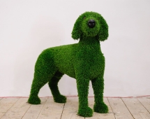 Топиари собака Грек - газон Eco Топиари собака Грек - газон Eco