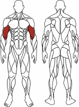 Бицепс сидя (зеленый) - Уличный тренажер - СТ 034-12.И1
