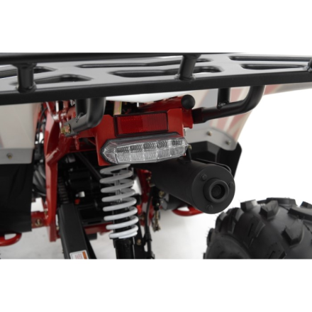 Квадроцикл бензиновый MOTAX GRIZLIK A125, фото 7