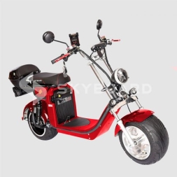 Электроскутер Citycoco SkyBoard Altai BR4000 FAST