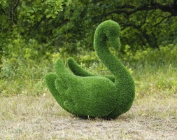 Топиари лебедь Кристи - газон Eco, фото 1