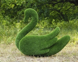 Топиари лебедь Кристи - газон Eco, фото 2