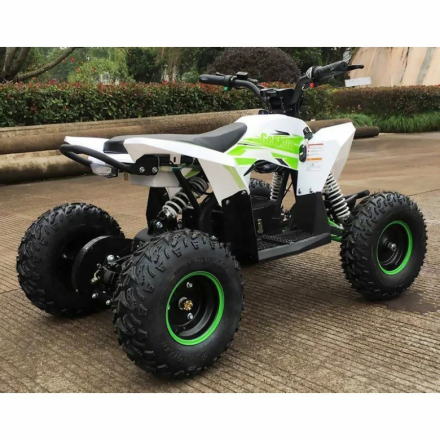 Квадроцикл MOTAX GEKKON 1300W, фото 12