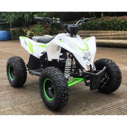 Квадроцикл MOTAX GEKKON 1300W, фото 11