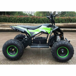 Квадроцикл MOTAX GEKKON 1300W, фото 5