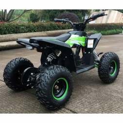 Квадроцикл MOTAX GEKKON 1300W, фото 4