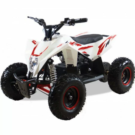 Квадроцикл MOTAX GEKKON 1300W, фото 1