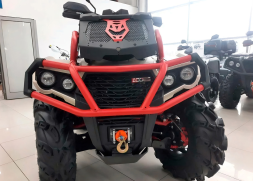 Квадроцикл АОДЕС PathCross 1000S Pro EPS (ПСМ), фото 2