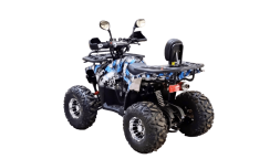 Квадроцикл BISON 125 Hunter LD, фото 5