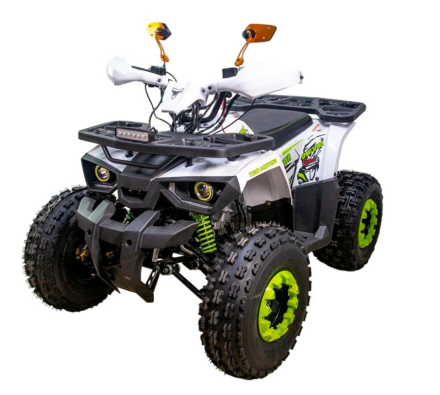 Квадроцикл GAOBO Kids 125 LD, фото 1