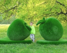 Топиари композиция яблоки - газон Eco Green