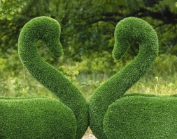 Топиари лебедь Кристи Два лебедя - газон Eco, фото 2
