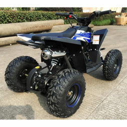 Квадроцикл MOTAX GEKKON 90cc, фото 10