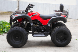 Квадроцикл UNIVERSAL Bull 200, фото 4