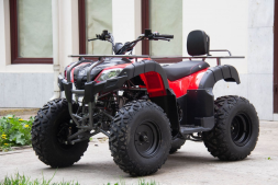 Квадроцикл UNIVERSAL Bull 200, фото 2