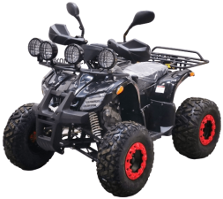 Квадроцикл BISON Kids 125 LD, фото 1