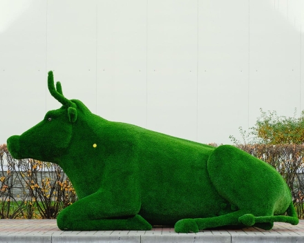 Топиари корова Хэльга - газон Eco, фото 2
