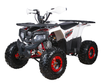 Квадроцикл YACOTA Fusion 125 PRO Квадроцикл YACOTA Fusion 125 PRO