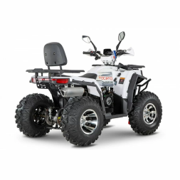 Квадроцикл YACOTA VIKING 200 PRO, фото 3