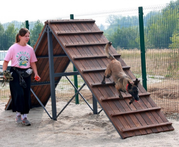 Бум горка для дрессировки собак, фото 2