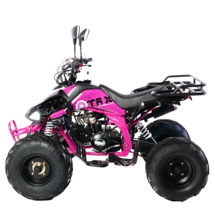 Подростковый квадроцикл MOTAX ATV T-Rex-LUX 125, фото 7