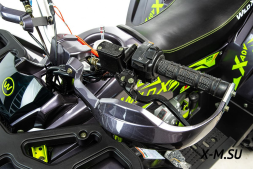 Квадроцикл MOTOLAND Wild X Баланс. вал. (2021 Г.), фото 4