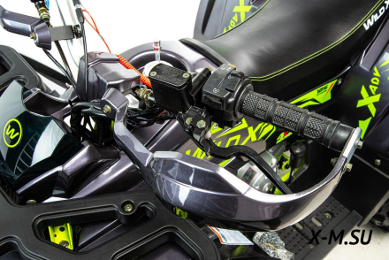 Квадроцикл MOTOLAND Wild X Баланс. вал. (2021 Г.), фото 4