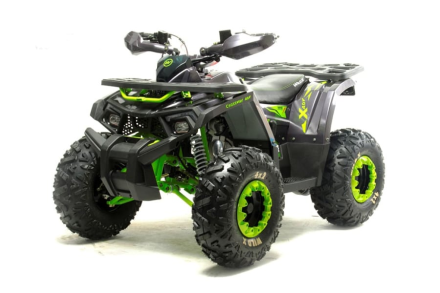 Квадроцикл MOTOLAND Wild X Баланс. вал. (2021 Г.), фото 1