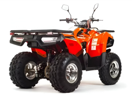 Квадроцикл MOTOLAND 200 Max, фото 6