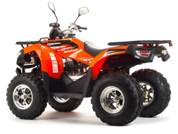 Квадроцикл MOTOLAND 200 Max, фото 4