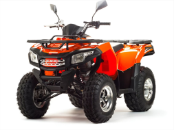 Квадроцикл MOTOLAND 200 Max, фото 1