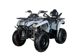 Квадроцикл AVANTIS Forester Long 200 Premium, фото 1