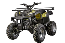 Квадроцикл YACOTA 200 PRO Квадроцикл YACOTA 200 PRO