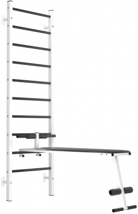 Шведская стенка EffectSport металлическая ПРОФ-ДГВ белая, фото 1