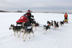 Снегоход РУССКАЯ МЕХАНИКА Тайга Варяг 550V, фото 11