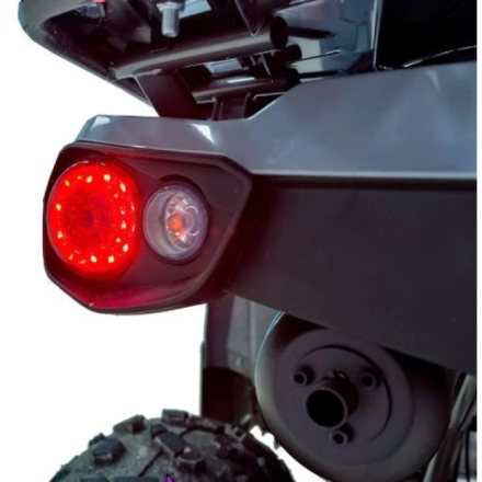 Квадроцикл GRIZLIK 200 ULTRA BIG, фото 5