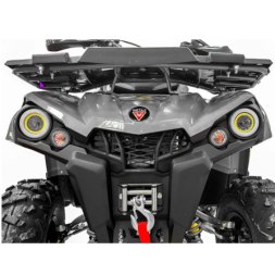 Квадроцикл GRIZLIK 200 ULTRA BIG, фото 4