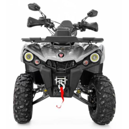 Квадроцикл GRIZLIK 200 ULTRA BIG, фото 2