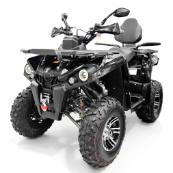 Квадроцикл GRIZLIK 200 ULTRA BIG, фото 1