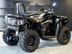 Квадроцикл АОДЕС PathCross MAX 650 Basic, фото 3 Квадроцикл АОДЕС PathCross MAX 650 Basic, фото 3