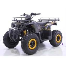 Квадроцикл GRIZLIK T200, фото 2