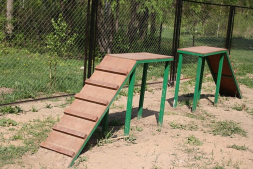 Трамплин для дрессировки собак, фото 2