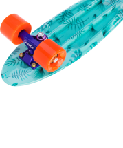 Круизер пластиковый Tropics 22''x6'', ABEC-7