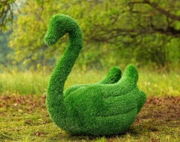 Топиари два лебедя Чепелия - газон Eco Green, фото 4