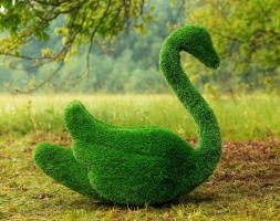 Топиари два лебедя Чепелия - газон Eco Green, фото 5