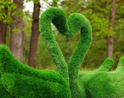 Топиари два лебедя Чепелия - газон Eco Green, фото 3