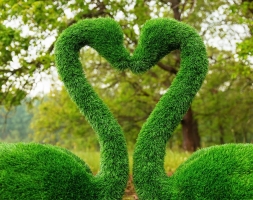 Топиари два лебедя Чепелия - газон Eco Green, фото 2