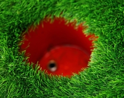 Топиари два лебедя Чепелия - газон Eco Green, фото 7