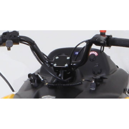 Снегоход TIKSY 250, фото 4